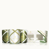 Frasier Fir® Frosted Plaid Votive Trio