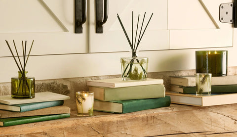 Frasier Fir® Pine Needle Reed Diffuser