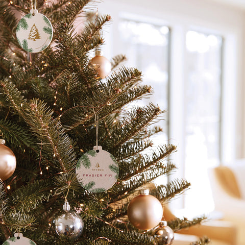 Frasier Fir® Decorative Sachet