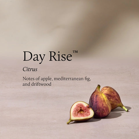 Day Rise 13 oz 2-Wick Candle